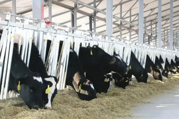 智慧養(yǎng)殖.png 智慧養(yǎng)殖.png